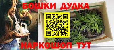 тгк Новозыбков