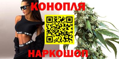 тгк Новозыбков