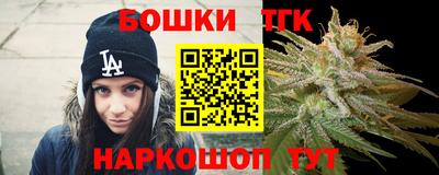 спиды Новодвинск