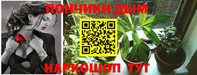 спиды Новодвинск