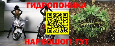 тгк Новозыбков