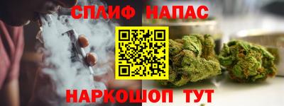 спиды Новодвинск