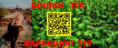 тгк Новозыбков