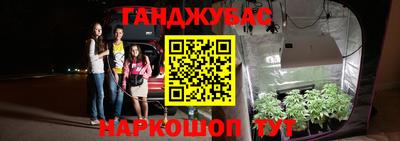 мдпв Новокубанск