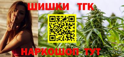 спиды Новодвинск