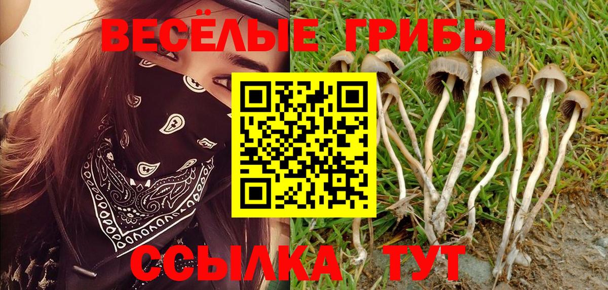 Псилоцибиновые грибы ЛСД Таганрог
